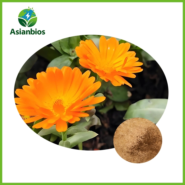 marigold extract powder